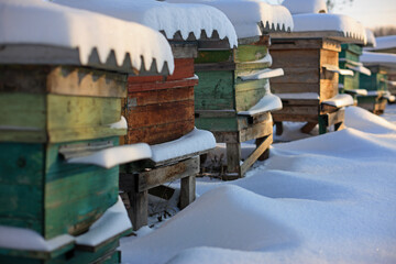 Bee hives in the winter snow garden