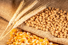 Soybean, Wheat And Corn Seeds In Brazil