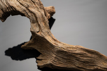 Natural drift wood with beautiful shape and textures for gardening layout or aquatic plants tank layout