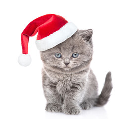 Canvas Print - Cute kitten wearing a red christmas hat sits in front view and looks at camera. isolated on white background