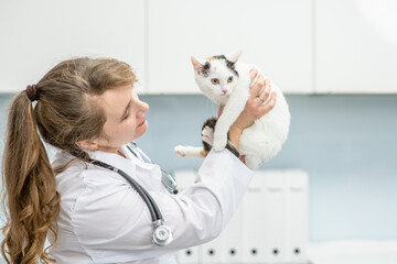 Sticker - Happy vet holds kitten at veterinary clinic