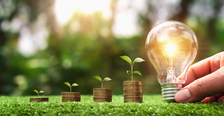 Wall Mural - hand holding light bulb on green grass with young plant growing on coins stack. saving power energy 