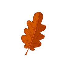 Autumn Oak Leaf, Oak Tree Fall Dry Leaves, Isolated Vector Icon. Dry Red Brown Oak Leaf, Forest Trees Autumn Foliage And Thanksgiving Season Symbol