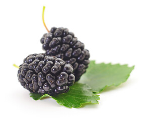 Mulberries fruit and leaves.