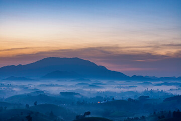 Wall Mural - Sunrise in Tea hills in Long Coc highland, Phu Tho province in Vietnam