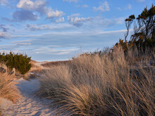 New Jersey's Island Beach State Park Offers Multiple Parking Areas And Beach Access On Designated Paths Across The Protected And Endangered Sand Dunes