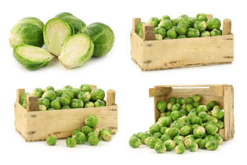 freshly harvested  brussel sprouts in a wooden crate on a white background