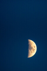 Waning crescent moon and cobalt blue background with copy space