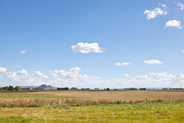 Green field under a blue sky with clouds and hills in the background. Tandilia, Provincia de Buenos Aires, Argentina. Copy space.