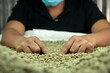 A woman picking bad quality beans of green coffee, as a preparation for export process