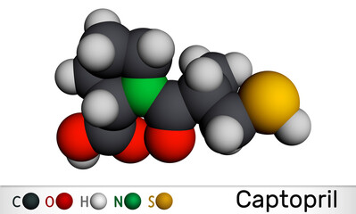 Wall Mural - Captopril molecule. It is angiotensin-converting enzyme inhibitor, ACE inhibitor, used in the treatment of hypertension, high blood pressure. Molecular model. 3D rendering