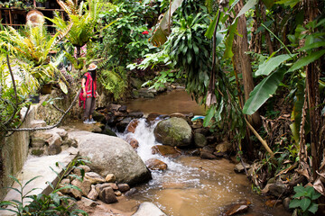 View landscape and creek of Mae Kampong Waterfall on Doi Mon Lan in Baan Mae Kampong peaceful Village valley hill for thai people and foreign travelers travel visit at Mae on in Chiang Mai, Thailand