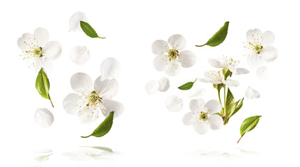 Wall Mural - Beautiful sping flowers flying in the air. Levitation concept