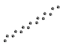 Black Vector Animal Footprint Walk