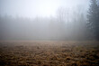 Mgła, las i zaorane pole wczesną wiosną