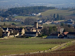 Canvas Print - Village viticole de Mercurey en Bourgogne.