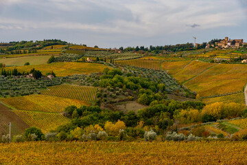 Wall Mural - Chianti vineyards in autumn