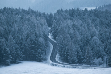 Wall Mural - Winding road in snowy forest