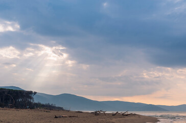 Poster - Alberese - parco della Maremma