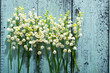 Lily of the valley flowers on cracked blue wood table background, directly above
