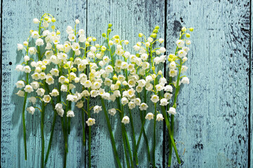 Wall Mural - Lily of the valley flowers on cracked blue wood table background, directly above