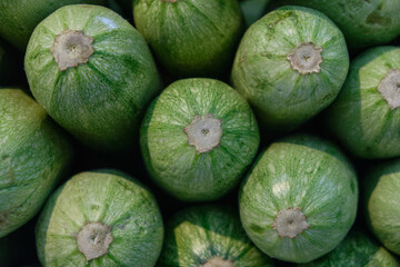 Poster - green background of zucchini front view, healthy food without nitrates