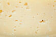 texture of milk cheese close-up macro