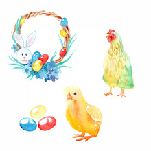 Watercolor Drawings - Easter Set: Hen And Chick With Eggs Wreath