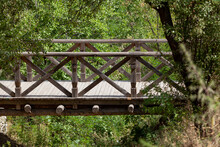 Wooden Bridge Over A Deep Ravine
