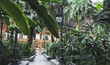© Pasha - Tropical green house, location in Atocha train station, Madrid, Spain.