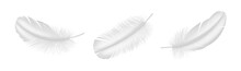Realistic White Feather Set Closeup Isolated On White Background. Detailed Fluffy Plume