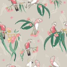 Australian Birds Seamless Pattern Free Stock Photo - Public Domain Pictures