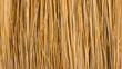 Paint brush bristles detail on marbled paper