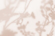© Koy - Flower shadows on light brown and cream color wall.
