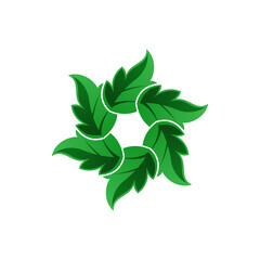 Wall Mural - leaves vector logo. leaves illustration. nature logo. eco green symbol sign.