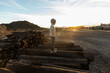 © Mint Images - 7 year old boy standing alone on railroad ties at sunset