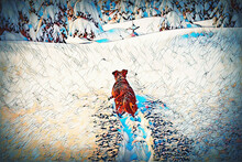 Dog In Mountain Winter Landscape. Profile Portrait.