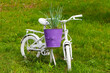 an old children's bike painted white and used in the street flowerbed as a flower pot holder. reuse of things, the second life of a bicycle.