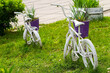 old children's bicycles are painted white and used in the street flowerbed as a flower pot holder. reuse of things, the second life of a bicycle.