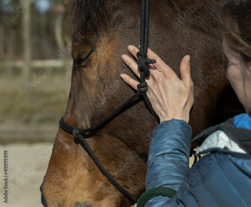 Horses. Horseriding. Instruction. Coaching. Healing. Hand. © A