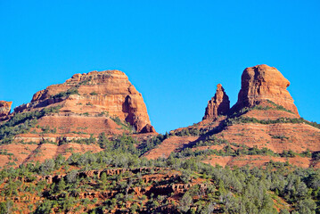 Wall Mural - Beautiful view of red rock mountains with juniper trees at the foot in the Northern Arizona deserts