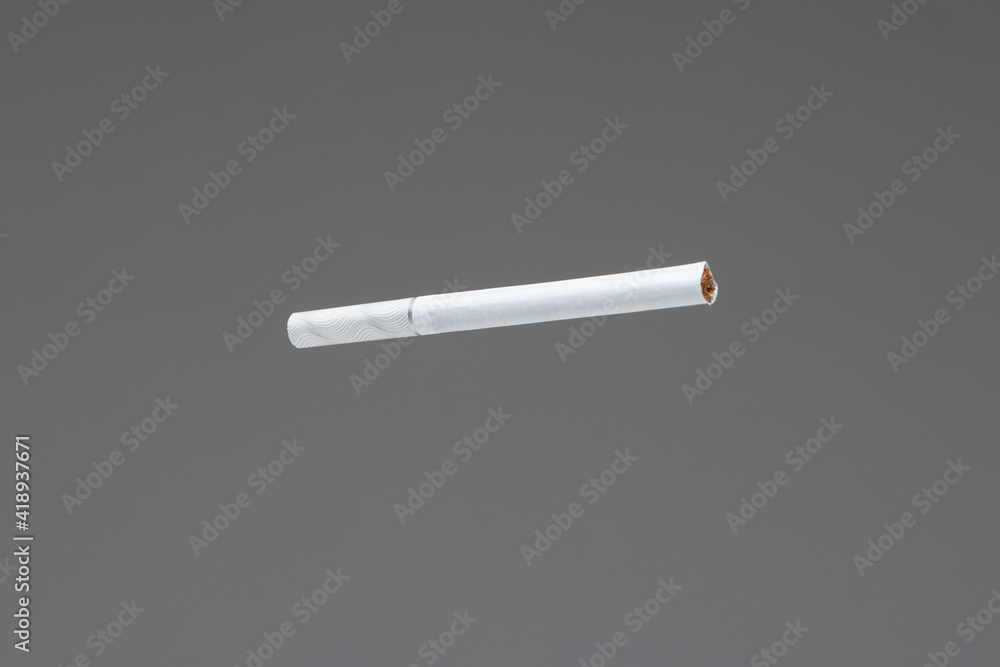unlit cigarette Single white unlit cigarette close up macro studio shot isolated on gray  background shallow depth of field Stock Photo