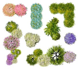 Wall Mural - collection of abstract watercolor tree top view isolated on white background for landscape plan and 