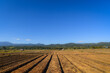 landscape with agricultural land on the plains that had recently been plowed and seeded with straw covered To maintain moisture and prevent destruction from animals and insects Prepare for planting