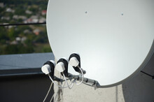 White Satellite Dish With Three Converters Mounted On Residental Building Rooftop Concrete Wall. Satellite Television
