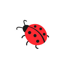 Cute Ladybug Simple Flat Design Vector Illustration