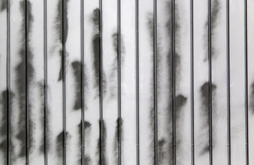 Wall Mural - Silver metal texture