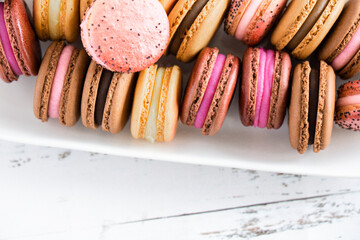 Assorted Macarons