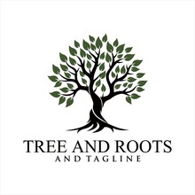 Abstract Vibrant Tree Logo Design, Root Vector - Tree Of Life Logo Design Inspiration Isolated On White Background.