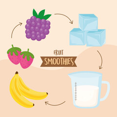 Poster - fruits smoothies ingredients preparation instructions